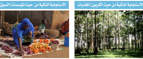 تقرير الأمم المتحدة للموارد المائية 2020: المياه والمناخ