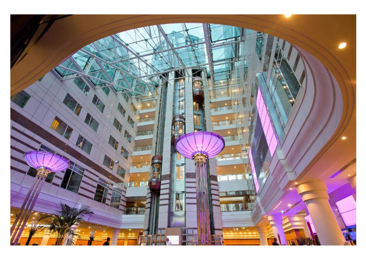 دور القطاع الفندقي في تعزيز وتطوير السياحة