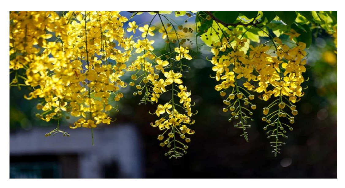 طريق التوابل: إرث حضاري في التسويق السياحي