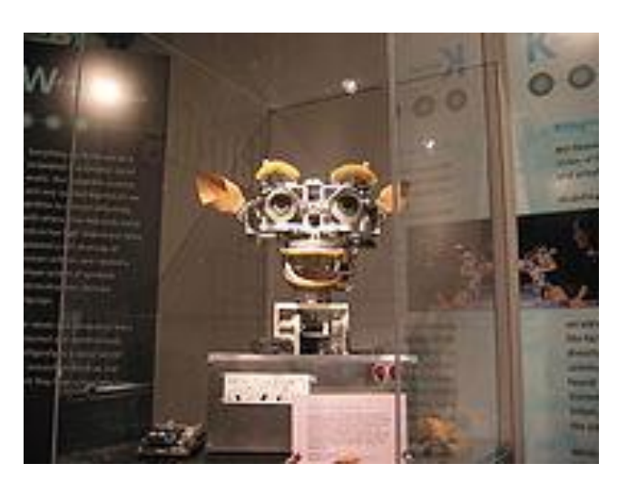 تطبيق تحويل لغة الإشارة إلى صوت باستخدام الذكاء الاصطناعي